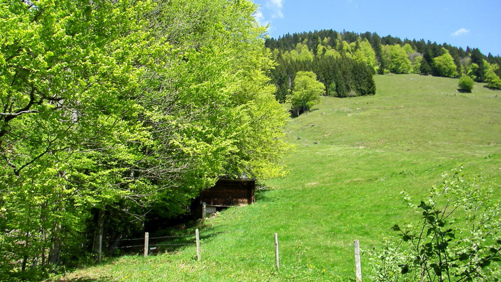 Ruhig und malerisch: die Aussicht hinter dem Haus Waldeck