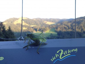 Alles mit der Ruhe - auf dem Weg ist es Zeit, die Seele baumeln zu lassen